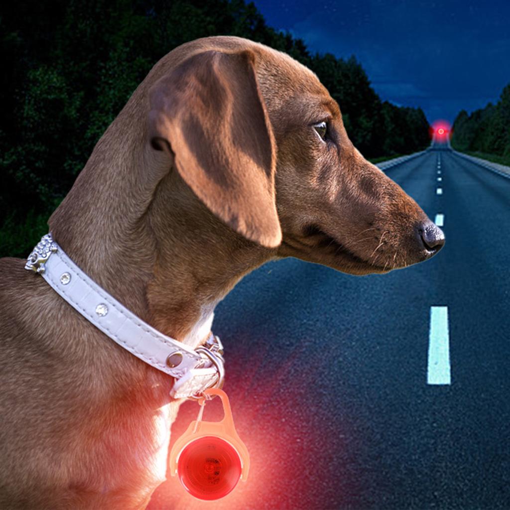 LED Glowing Dog Collar Pendant Light Up Reflective Night Walking Safety Pet Accessories for Small Medium Large Dogs