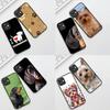 for Samsung Galaxy S10 S8 S9 Plus A33 A34 A31 70 A71 A72 Note 20 9 8 S10E Phone Case Yorkshire Terrier Yorkie Dachshund Dog