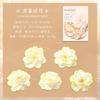 10 Pcs/pack PET Stickers Plant Flowers Decor Stationery Stickers for Junk Journal DIY Scrapbooking Label Journal Stickers