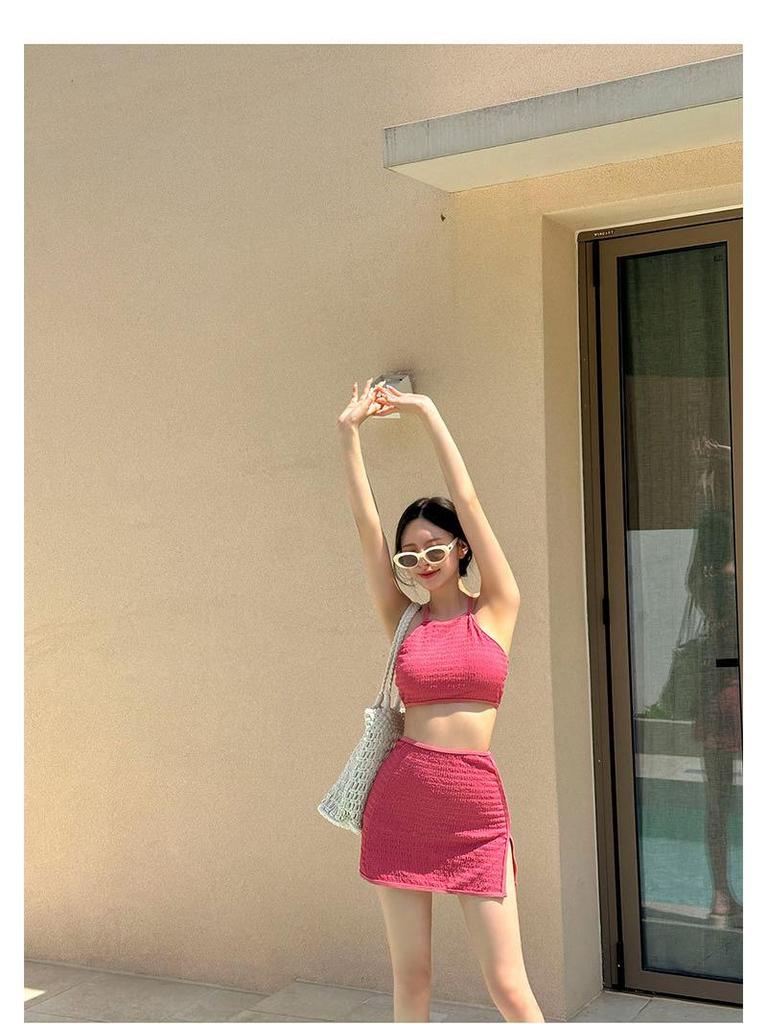 Women's Japanese & Korean Fashion Swimsuit: Simple, Sexy Skirt Style, Small Bust Enhancement, Conservative Beachwear.