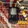 Pet Parrot Ceramic Heating Lamp Cage Turtle Lizard Reptiles Warm Lamp Anti-Bite Anti-Scalding Insulation Lamp US/EU/UK/AU Plug