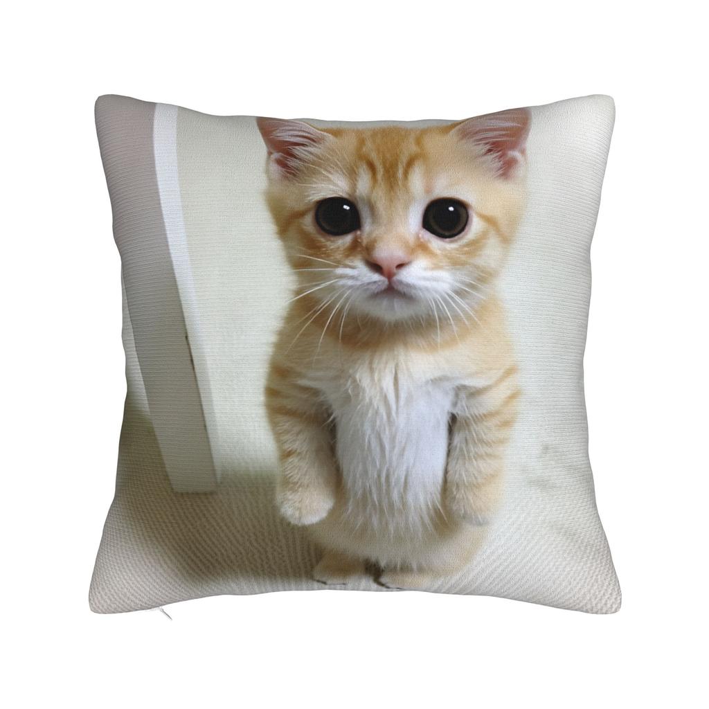 Katzen-Memes Lustiger Meme-Druck Kissenbezug Weicher Kissenbezug für Sofa Auto Heimdekoration Modischer Kissenbezug
