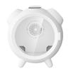 Smart Pet Dryer: Silent, Temperature-Controlled Drying Box for Cats and Dogs