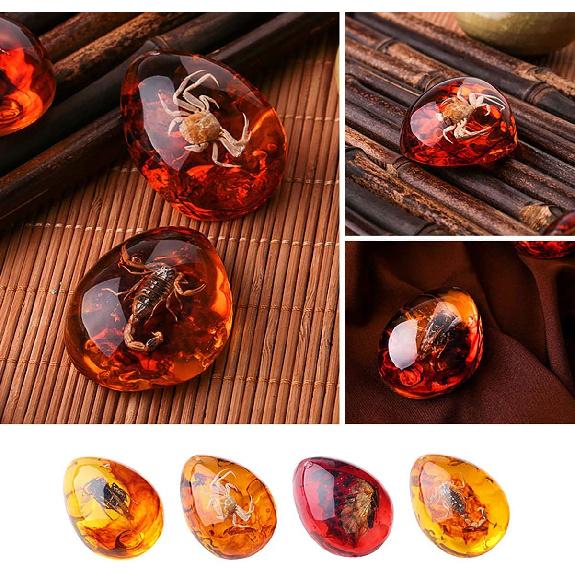 Queenbox Resin Amber Insect Pendant Butterfly Fossil Samples Stones Crystal Home Decorations and Jewelry Making