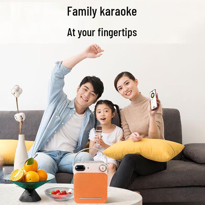 Edifier PP203 Portable Mini KTV Bluetooth Speaker