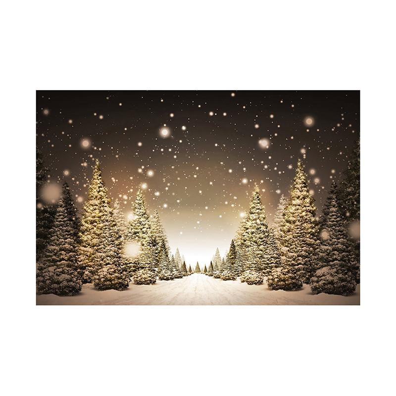 

Фон на тему «Зимняя сказка», Рождественский фотофон, для вечеринок и праздничных фотосессий, Фотостудия 100x150cm