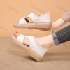 Fashion 2025 Summer Thick Bottom Casual Sandals for Women's Comfortable Fashion Open Toes Low Heel Lightweight Outdoor Beach Cool Shoes