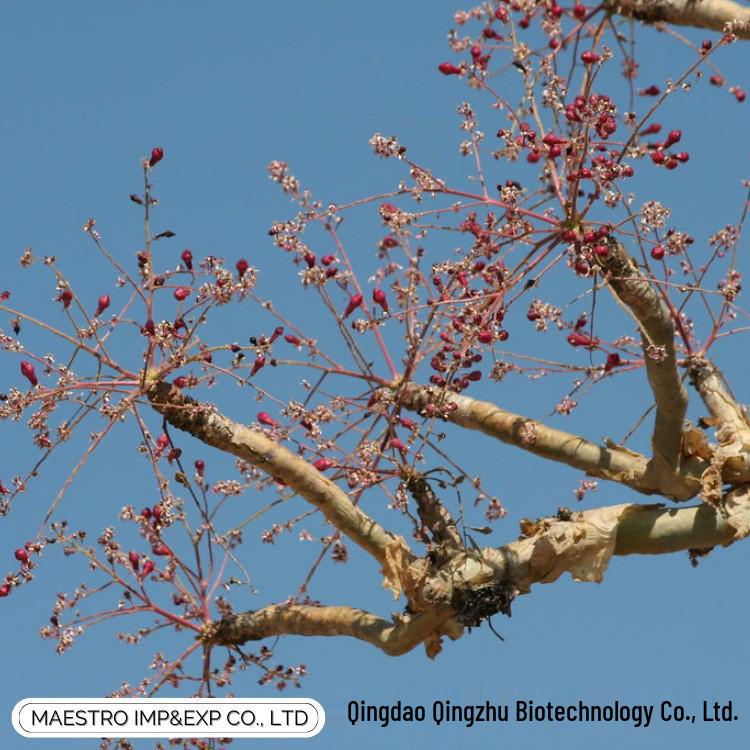 Niche Single Essential Oils & Resins - Direct Sourcing