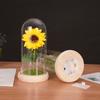 Sunflowers Artificial Flowers In Plastic Dome with LED Strip, Birthday Gifts for Mom & Grandma, Sunflower Decor On Mother's Day