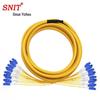 SNIT 12-Core Breakout Single-Mode Fiber Patch Cord