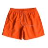 Men's Quick-drying Swim Shorts  Lined Sports Beach Pants