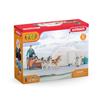 Schleich Wildlife Antarctic Expedition 42558