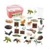 Animal Growth Cycle Figures for Educational Play And Learning