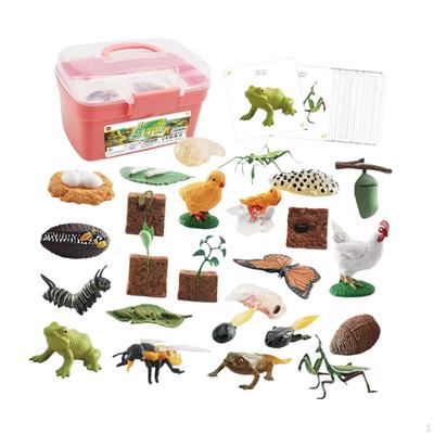 Tierwachstumszyklus-Figuren für pädagogisches Spiel und Lernen
