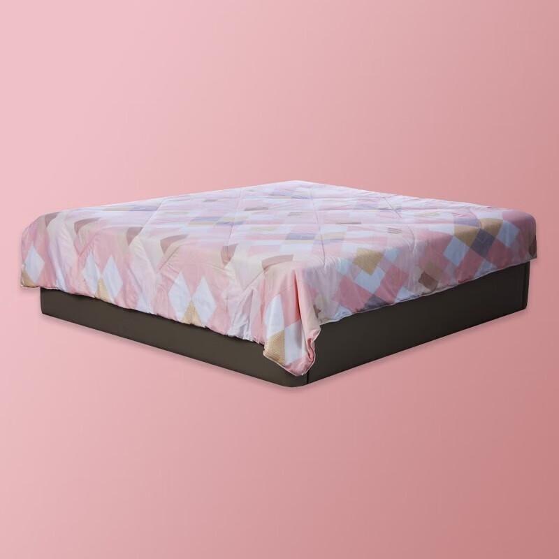 

DeRUCCI Silk-Soft All-Season Fiber Quilt