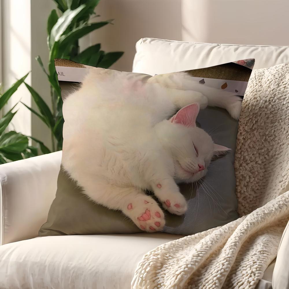 Funny Cat Memes cushion cover For Pillow Printing Sofa Decoration Home Car Room Coffee Shop Office Nordic Simplicity