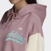 Adidas Originals Hoodie Sports Lifestyle Series Women Hoodies Pink HD9784
