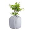 Cold Wind Plant Cover with Vertical Opening, Fabric and Gathered Cord Closure for Potted Bushes and Small Trees