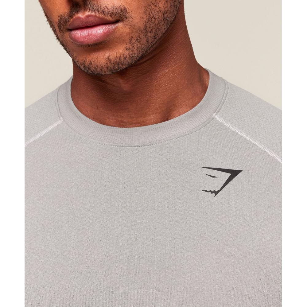 Gymshark ViTal Seamless T shirT lighT Grey Smokey Grey A2b5p Gb8v