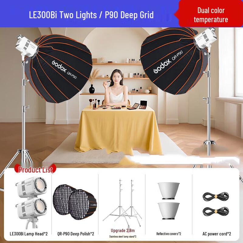 Godox LE300Bi Bi-color LED Constant Light Kit