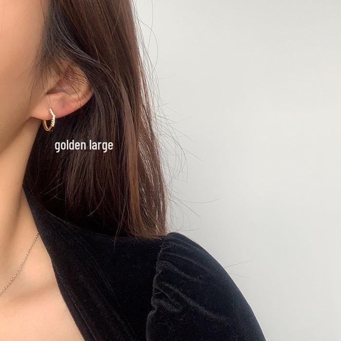 S925 Silver Needle Women's Earrings - 2022 Trend, Simple & Elegant Design