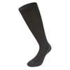 Lenz Socks Skiing 4.0
