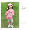 Girls' Toddler Long Sleeve Korean Style Casual Sweatshirt and Dress Set for Spring and Autumn