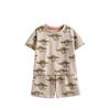 Boys Summer Outfit Cotton Short Sleeve Tshirt And Shorts Set For Kids Ages 3 To 8