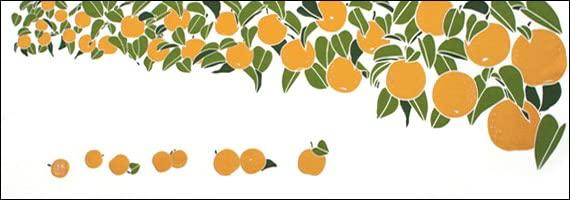 

Dyeing Anbo Hand Towel Pears Authentic Dyed Cotton Tokuoka Made in Japan 35cm x 100cm When Ripen 100%