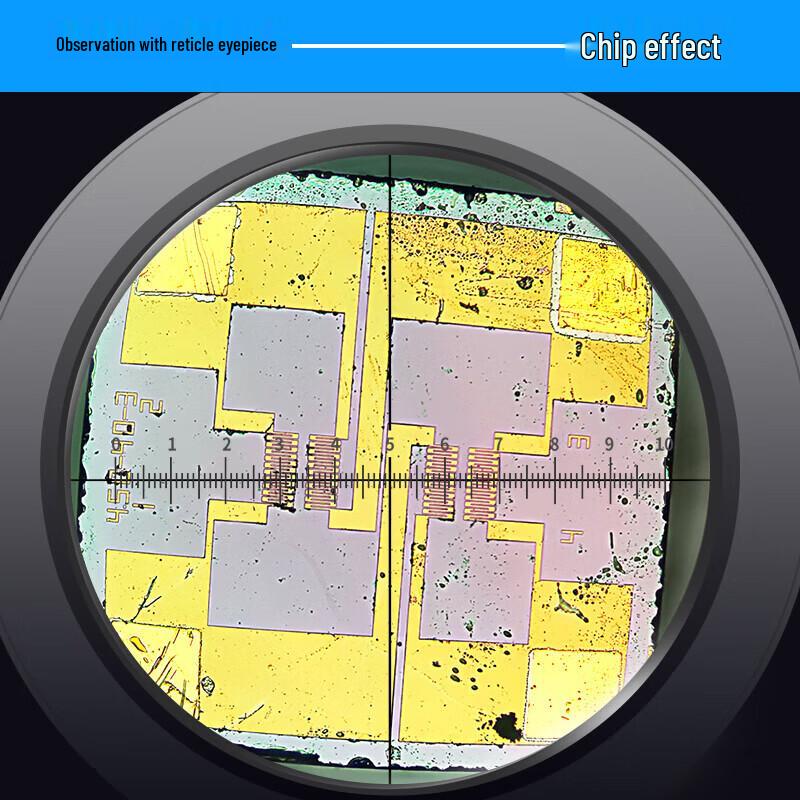 AOSVI 10X Metallurgical Scale Eyepiece