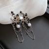 Silver Needle Feather Fringed Earrings Long Light Luxury Atmospheric Stud Earrings Personalized Design Earrings