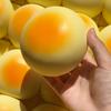 Realistic-Looking Squishy Milk Bread Slow Rising Squeeze Squishy Toys Stress Easing Sensory Fidget Toys For Anxiety
