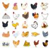 50Pcs Cartoon Chicken Stickers Cute Waterproof Self-adhesive Cute Animal Decals DIY Car Skateboard Laptop Motorcycle Graffiti Stickers