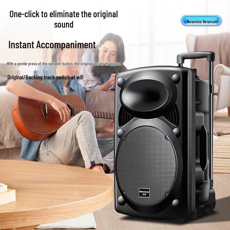 Newmine 12-inch Portable Bluetooth Trolley Speaker CN plug (adapter included)