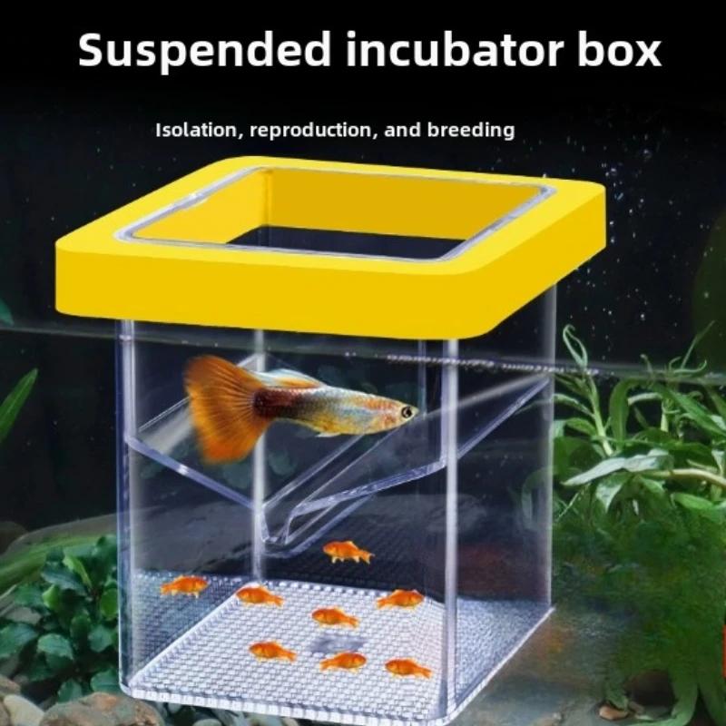 Isolation Box, Mother Fish, Small Fish, Suspended Floating Breeding, Peacock Fish Fry, Small Fish Tank, Incubator, Hatching Box