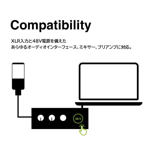 LEWITT LCT 441 FLEX Condenser Microphone for Vocal and Instrument Recording, 8 Polarity Types