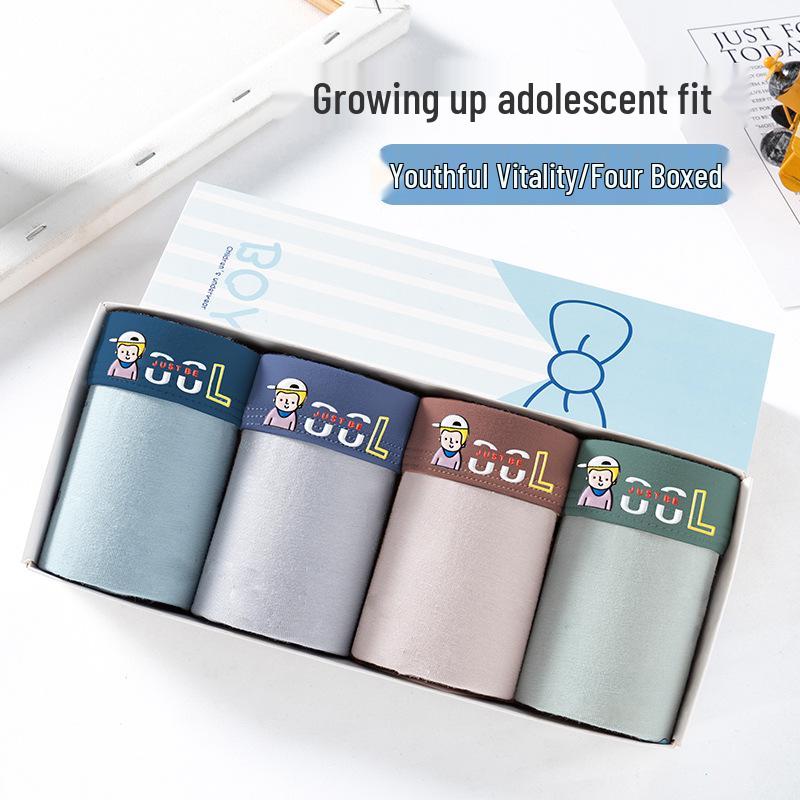 

Boys Teen Boxer Briefs for Junior High Students 4XL