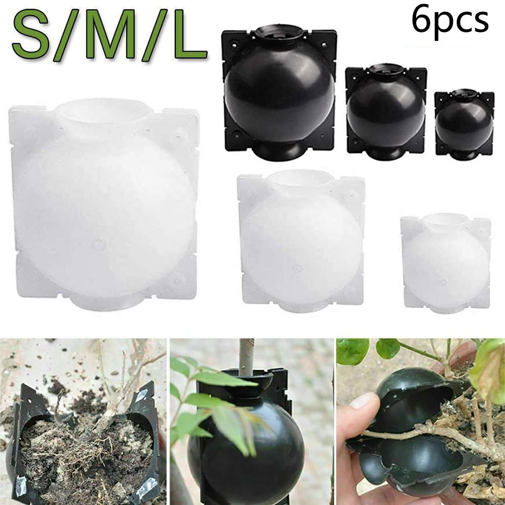 Boost Your Garden's Productivity with Propagation Ball Box Set of 6