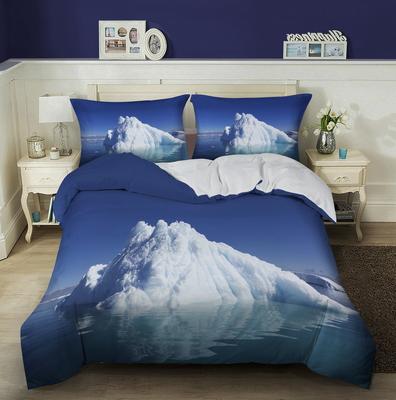 Glacier Duvet Cover Set Iceberg Pattern Antarctic Melting Glacier King  Comforter Cover for Boys Girl Teen Polyester Bedding Set
