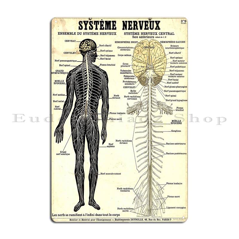 Винтажный плакат нервной системы Металлическая табличка Плакат Настенный Индивидуальный Кинотеатр Ретро Печатные таблички Жестяной знак Плакат 20x30cm