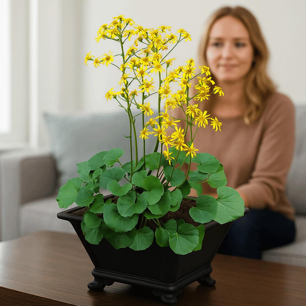 Colorful Flowerpots Durable Thick Bonsai Tray Pots Simple Four Sided Basin  Gardening