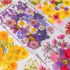 Colorful Real Dry Herbs Set Assorted Dried Flower Bundle Pressed Flower for Creative Scrapbook and Decors