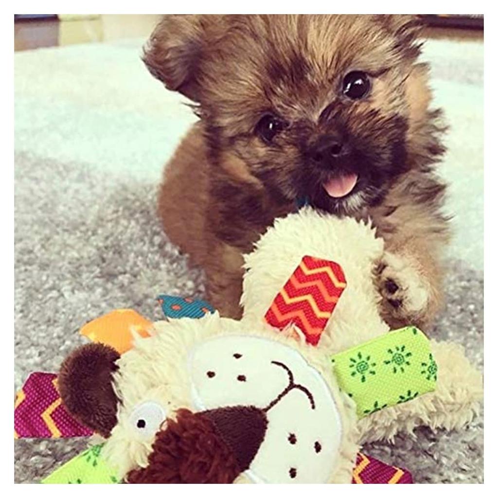 GiGwi Dog Toy Plush Toy Plush Friends Amigo Lion