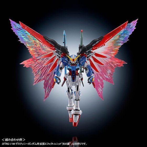 Bandai RG Destiny Gundam [titanová povrchová úprava] 1/144