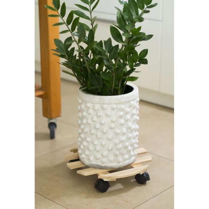 NATURE Tablette à roulettes pour plantes - Sapin - H7,4 x Ø35 cm