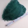 10Pcs 30-35cm Ostrich Feathers for Crafts Wedding Decoration 12-14" Handicraft Accessories Table Centerpieces Carnival Plumas