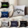 Fashion C-Callaway Pillow Case Anti-dustmite Pillowcase Invisible Zipper Silky Short Plush Sofa Cushion Cover