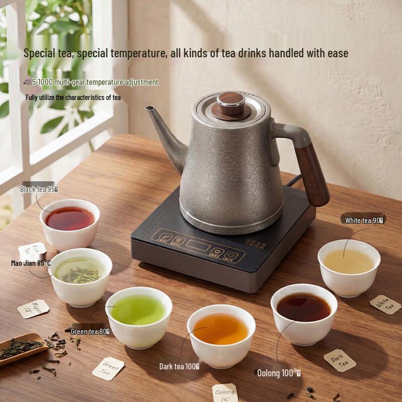 Yiwu Pure Titanium Electric Tea Kettle with Auto Water Pump
