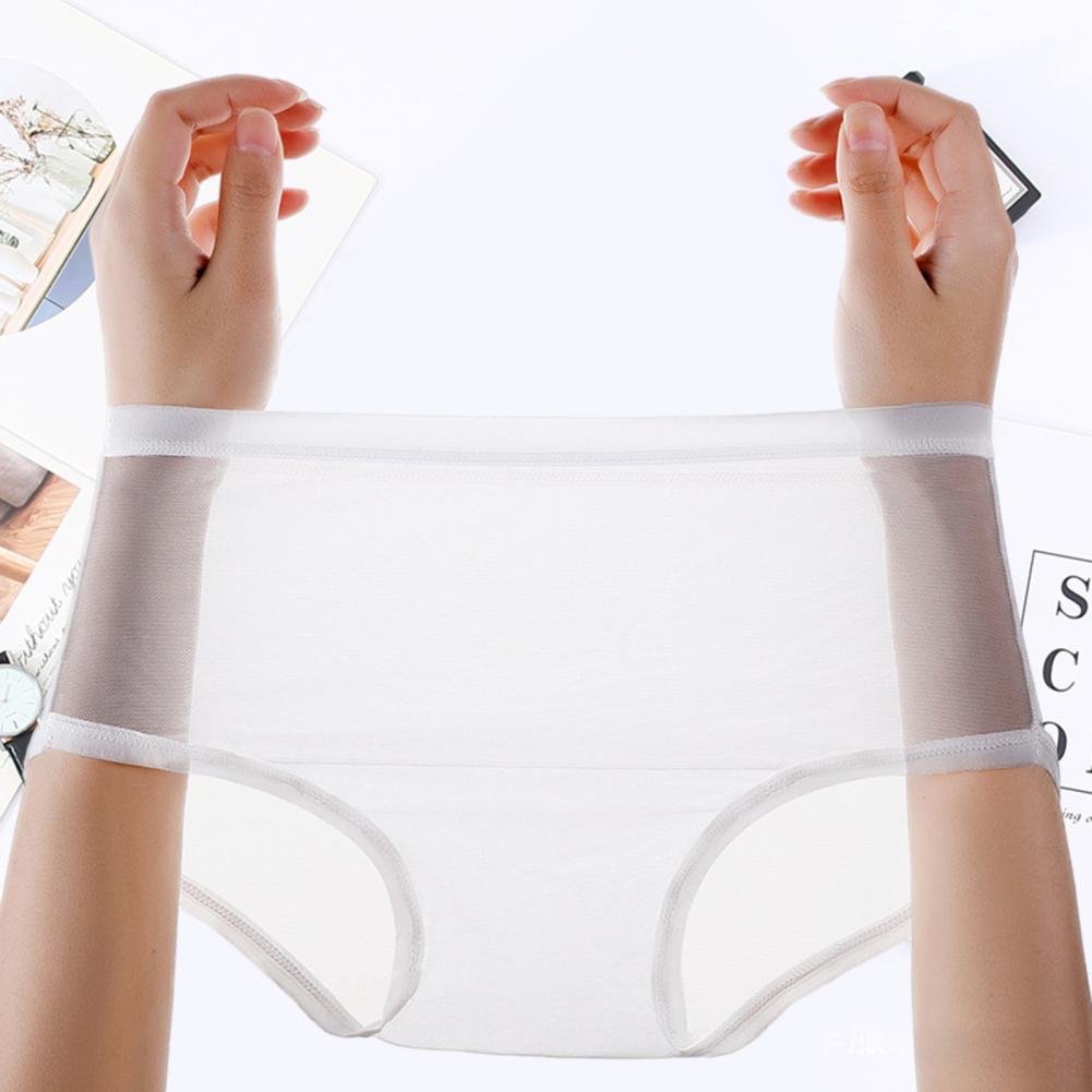 Sexy Transparent Panties for Women Plus Size See Through Mesh Sheer Underwear Seamless Mid Rise Thin Briefs