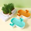 Hydroponic Cat Grass Planter Detachable Bottom Fine Filter Hole Double Layer Soilless Catnip Snack Growing Box for Garden